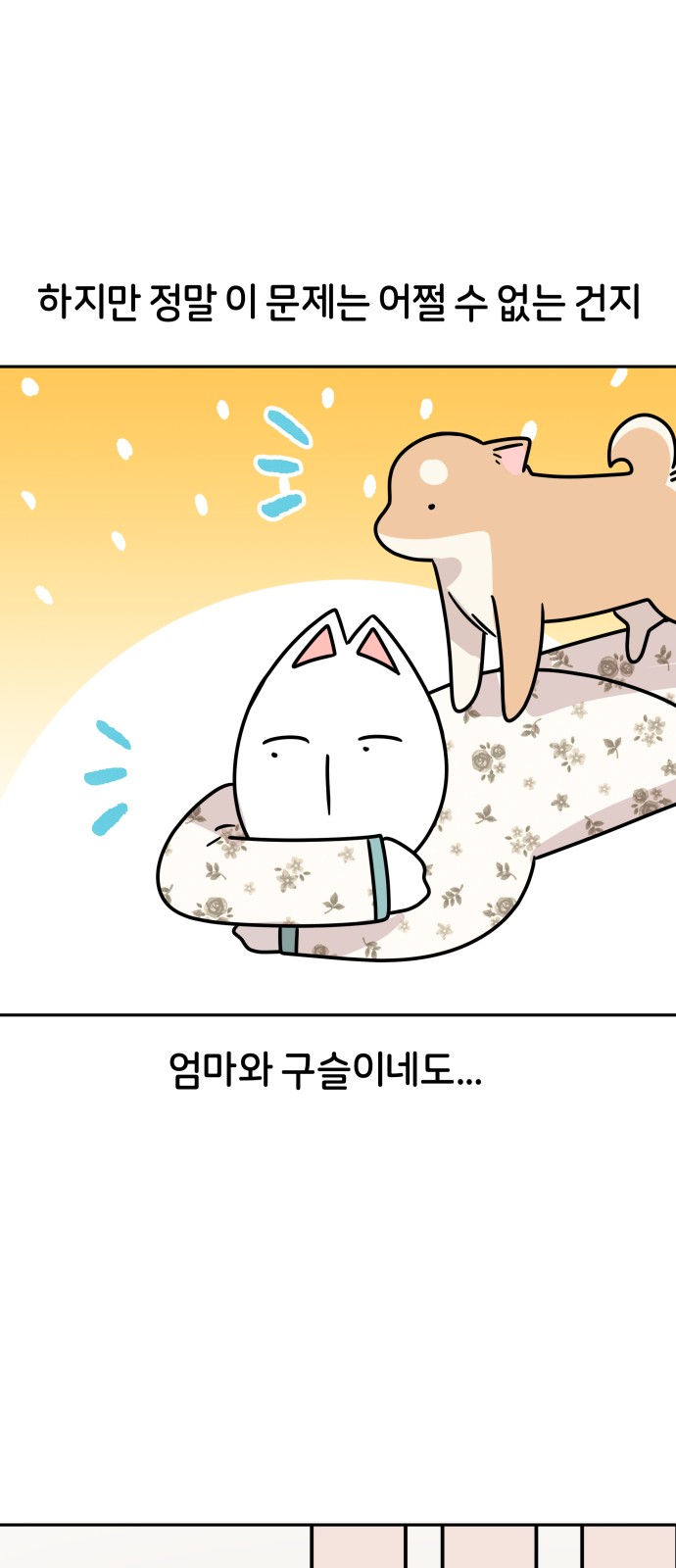 34 페이지
