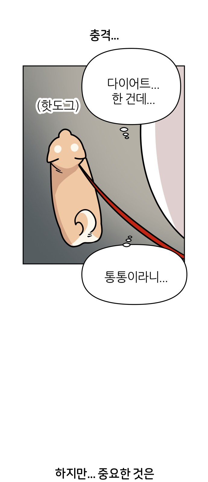 19 페이지
