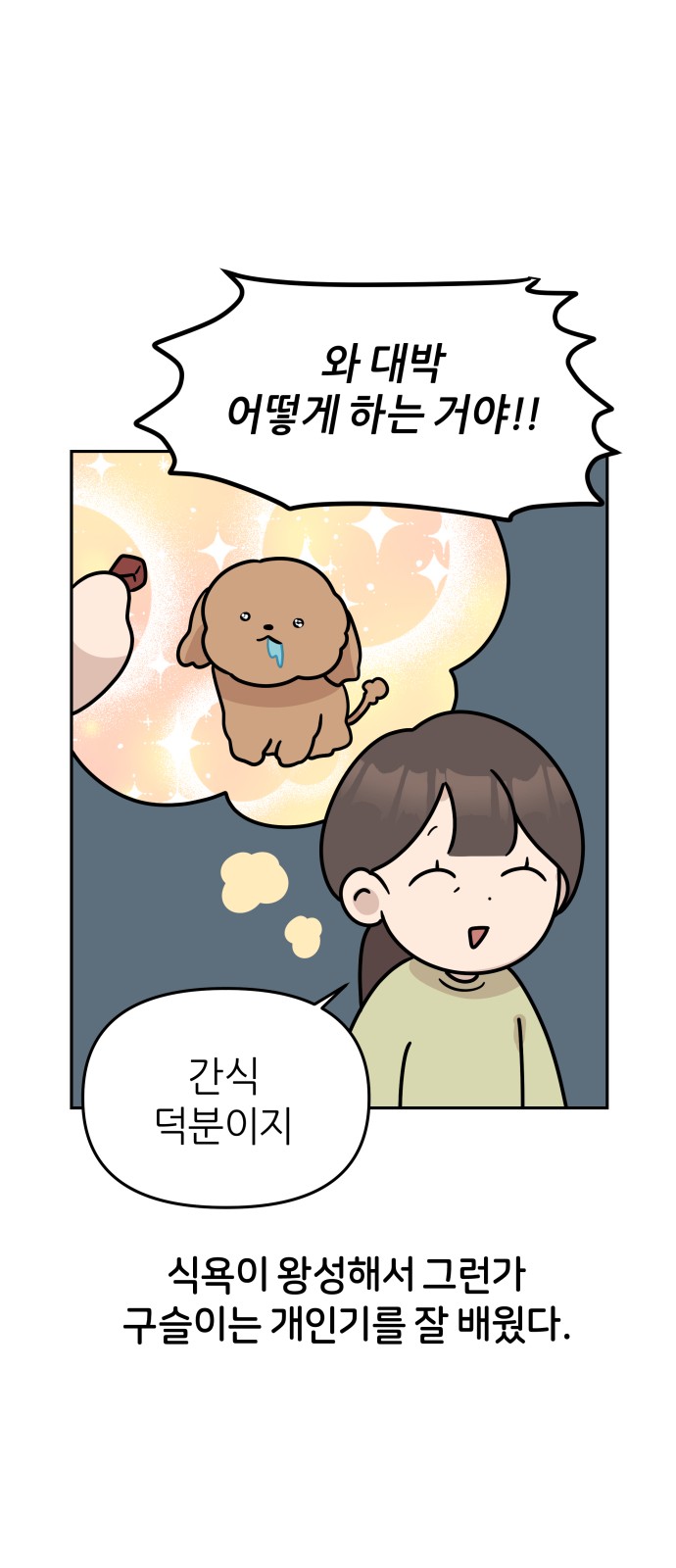 12 페이지