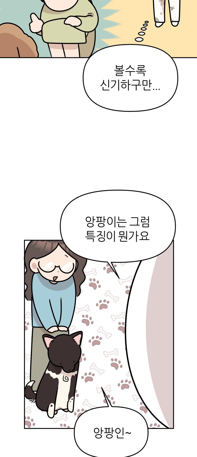 15 페이지