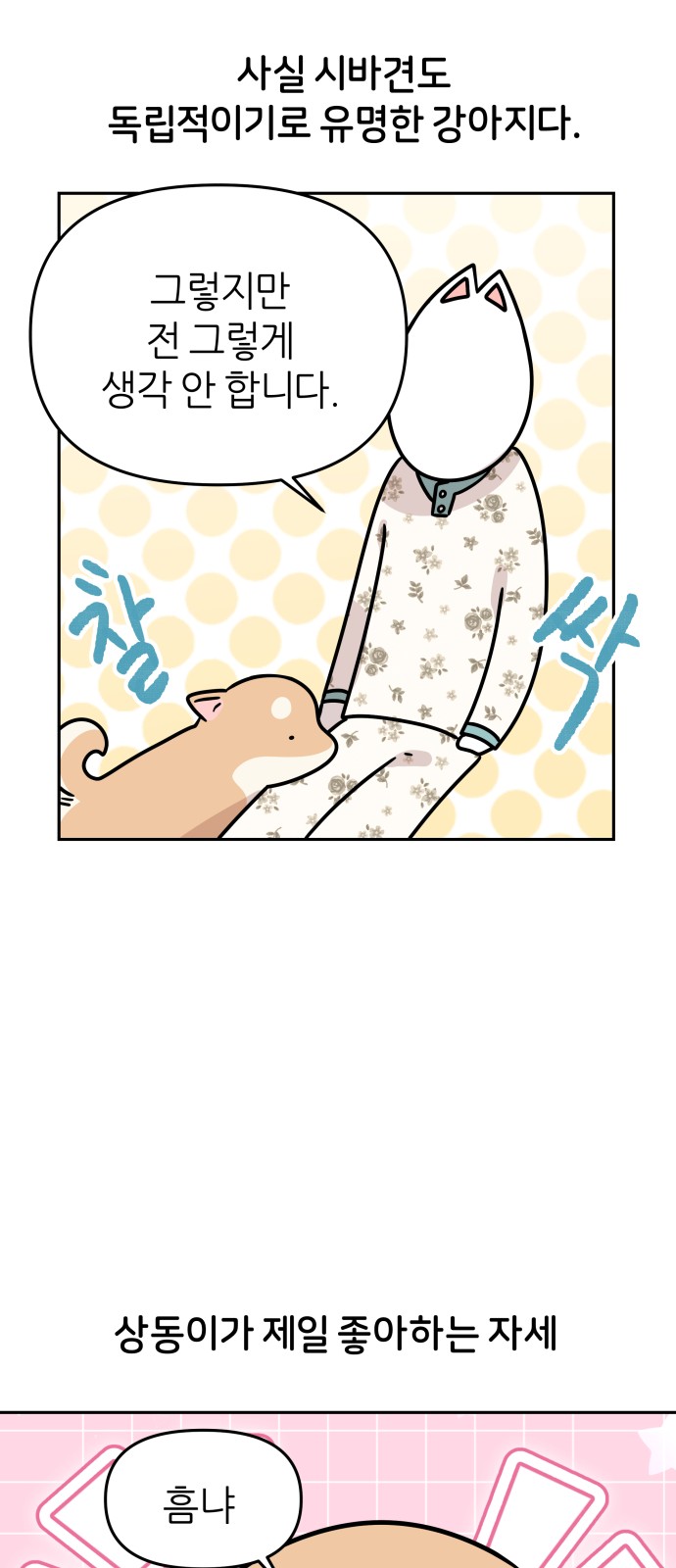 17 페이지