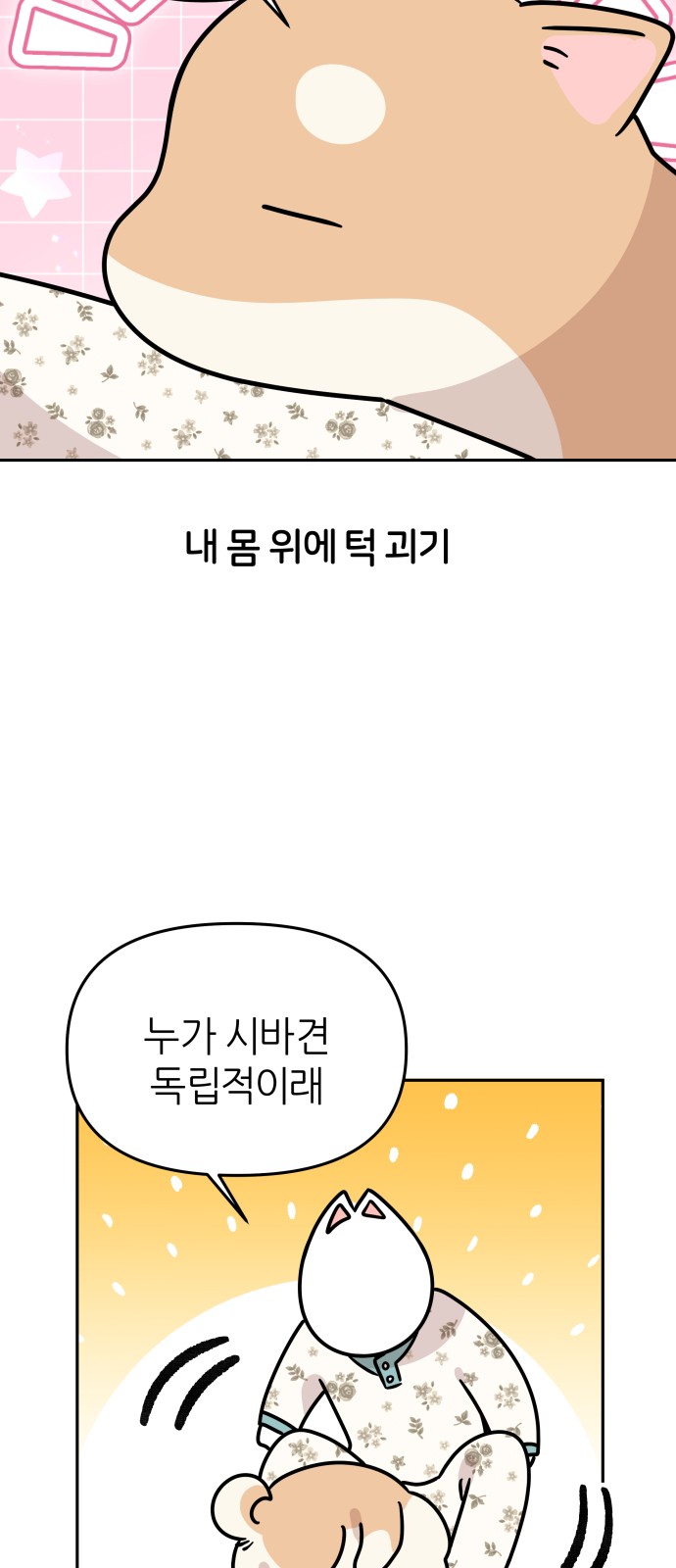 18 페이지