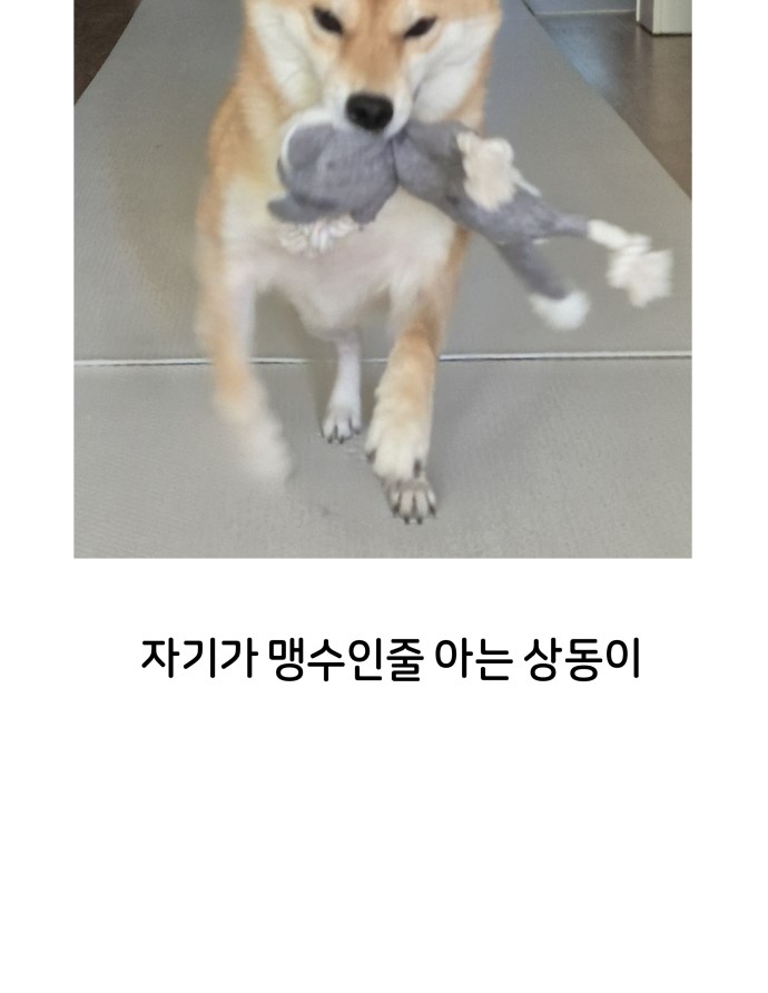 39 페이지