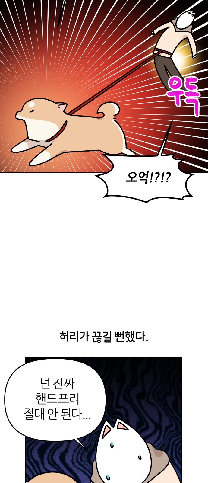13 페이지