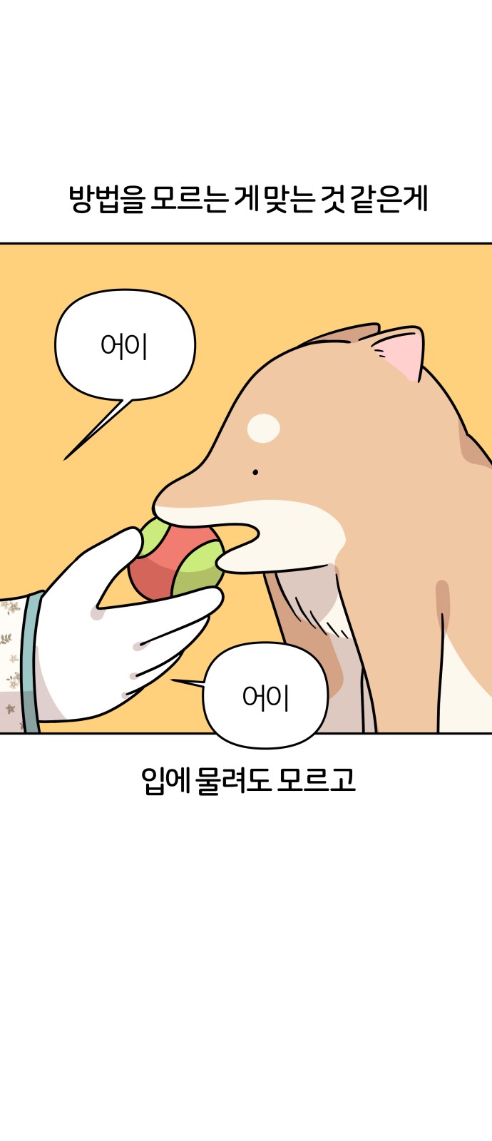 11 페이지