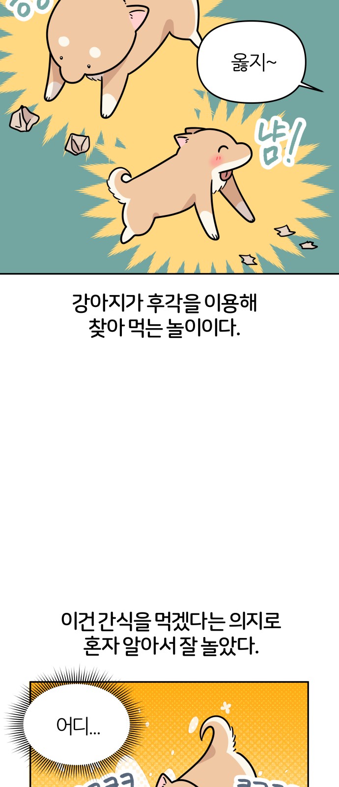 15 페이지