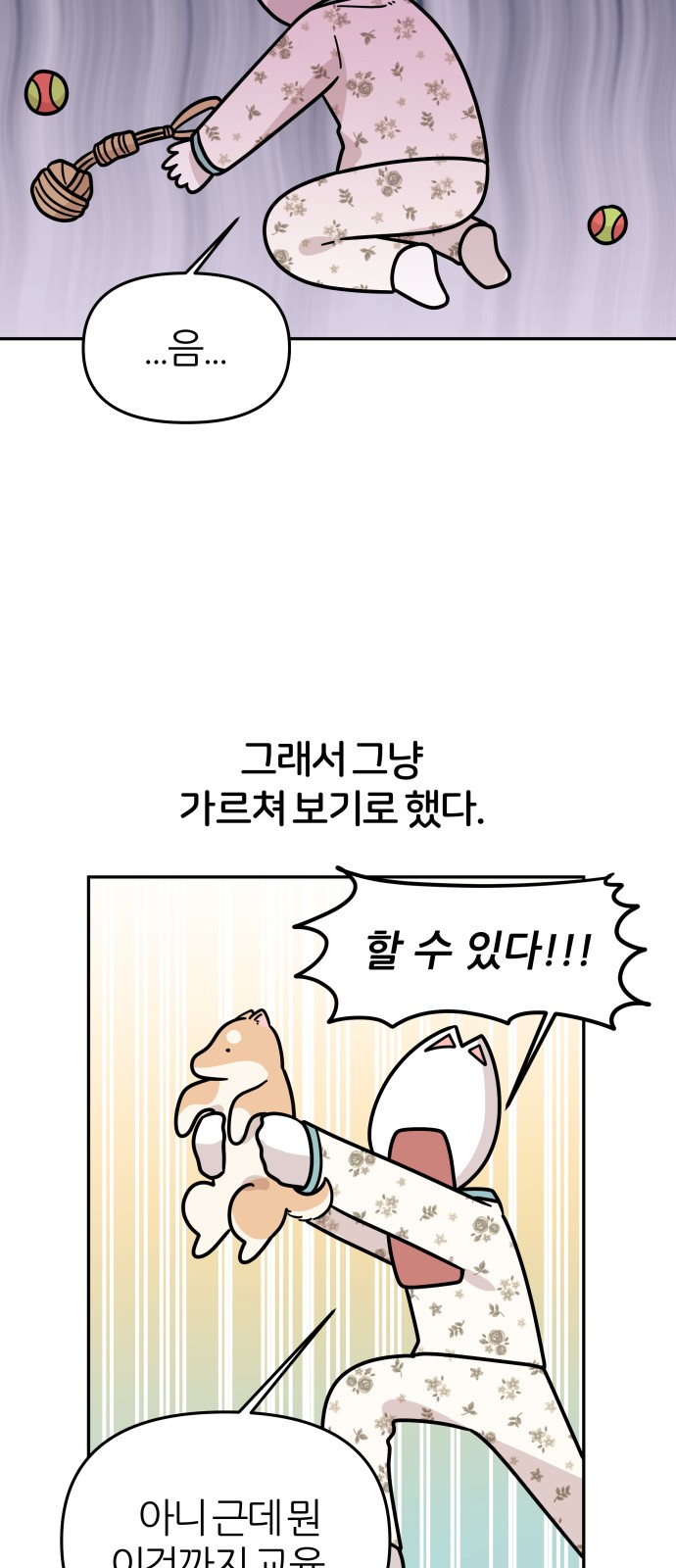 17 페이지