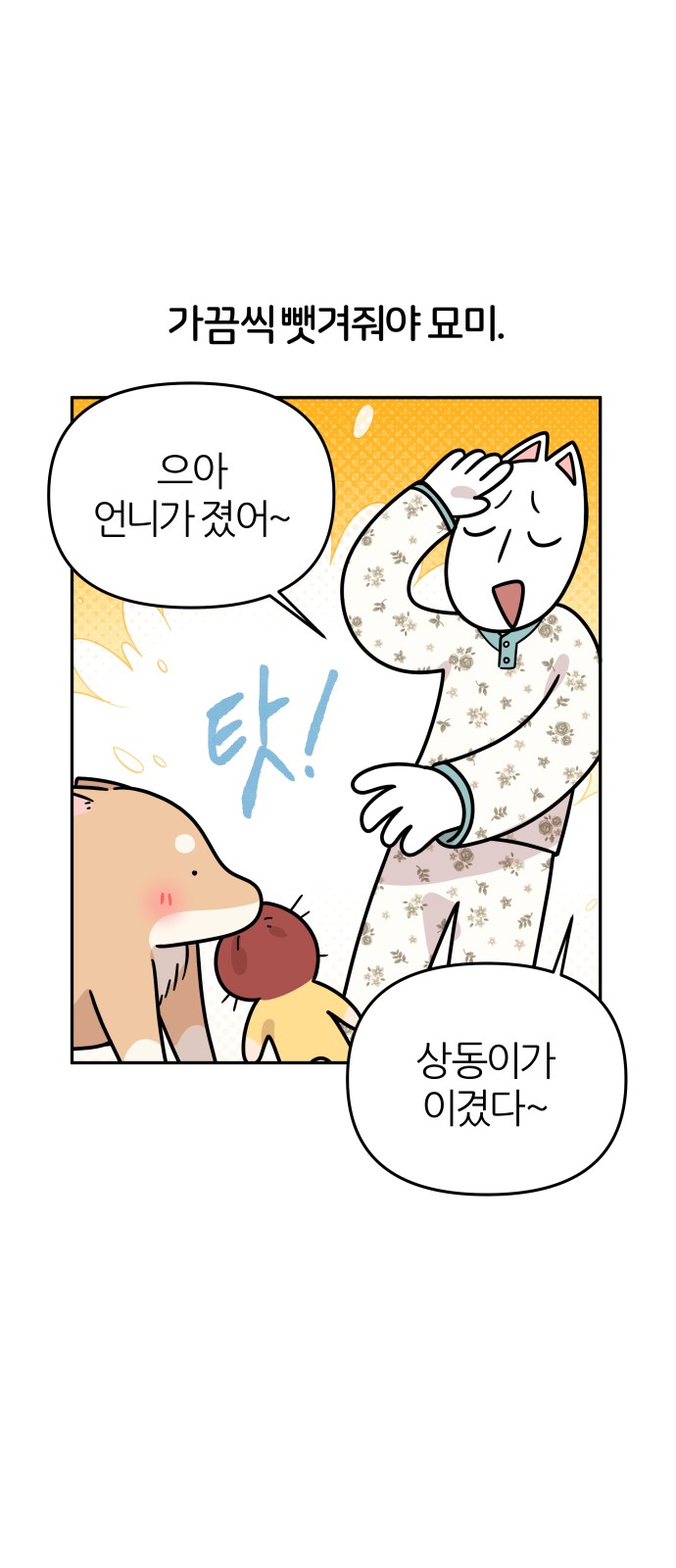 24 페이지
