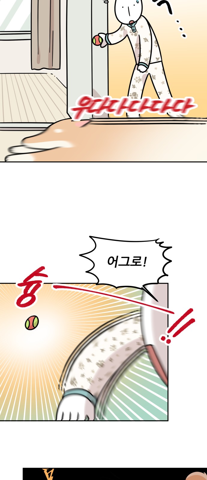 37 페이지