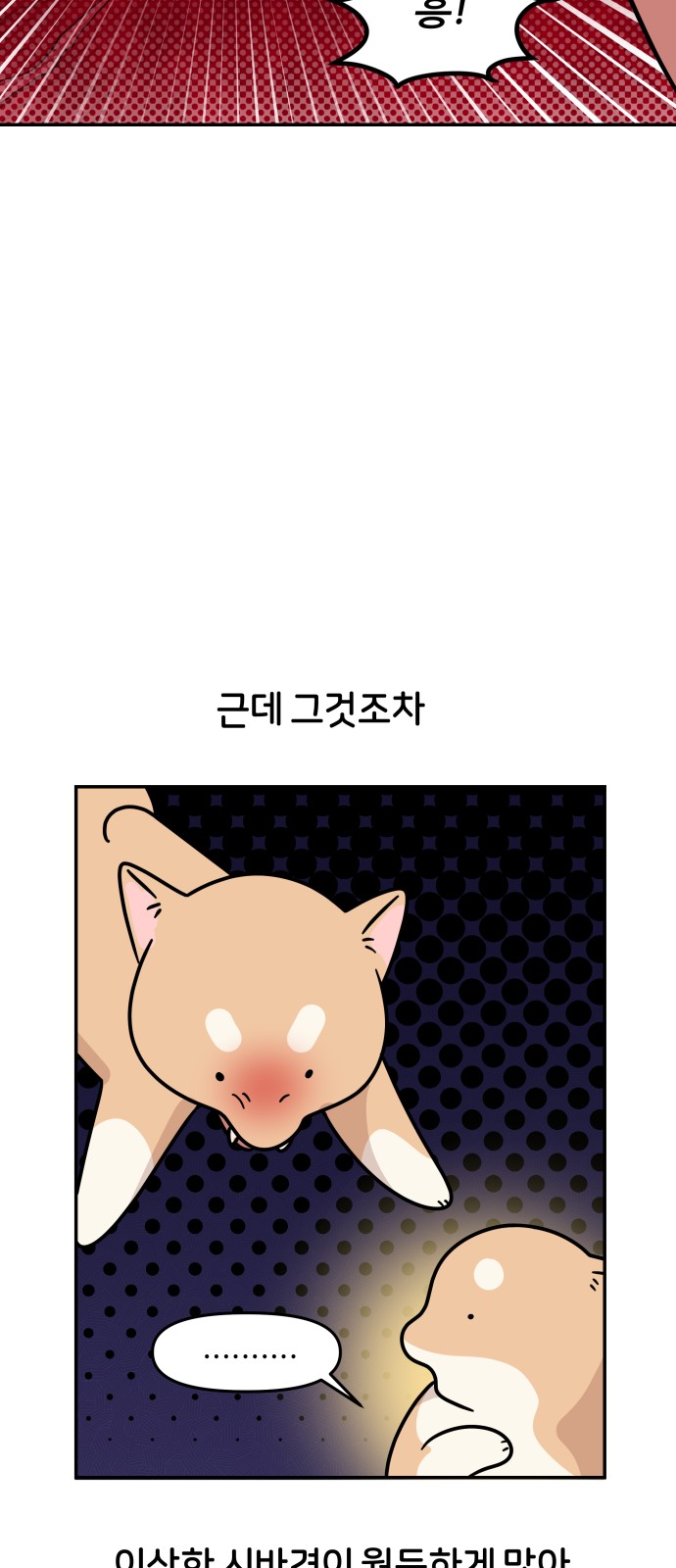 25 페이지