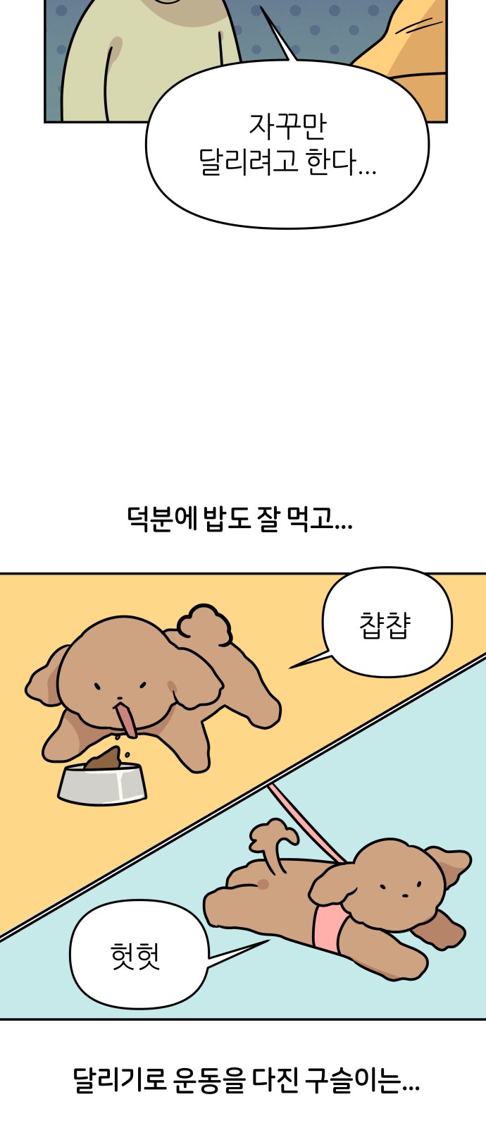 21 페이지