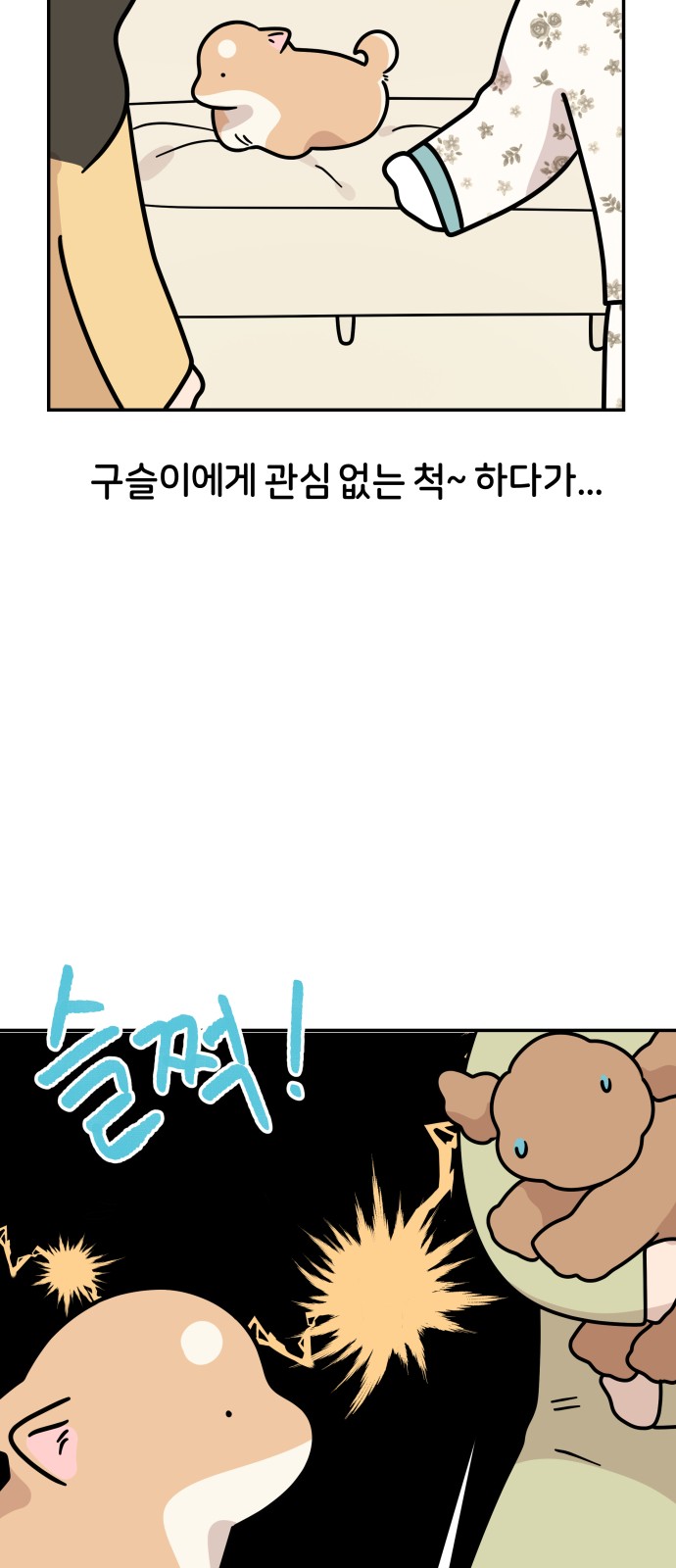 19 페이지
