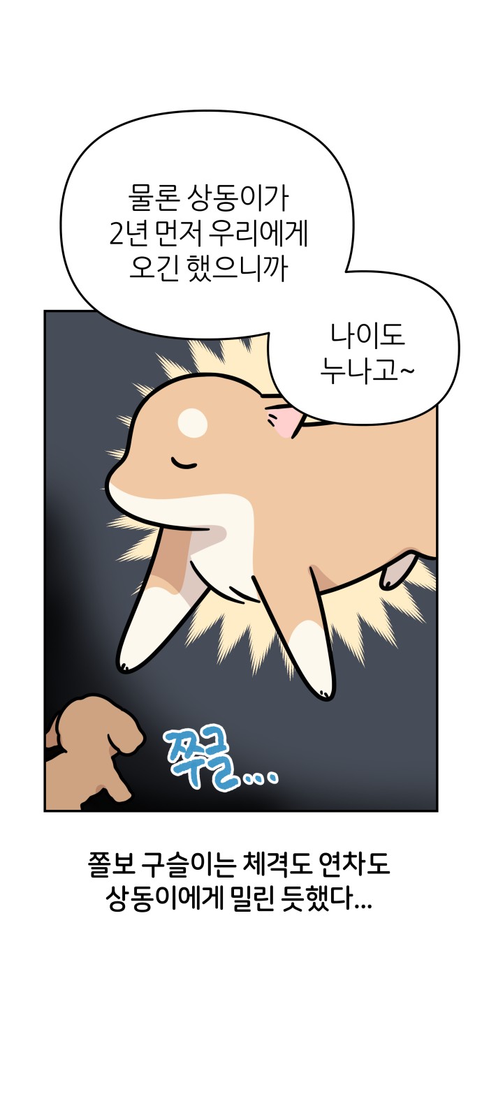 9 페이지