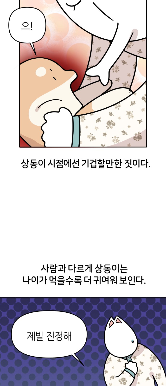 13 페이지