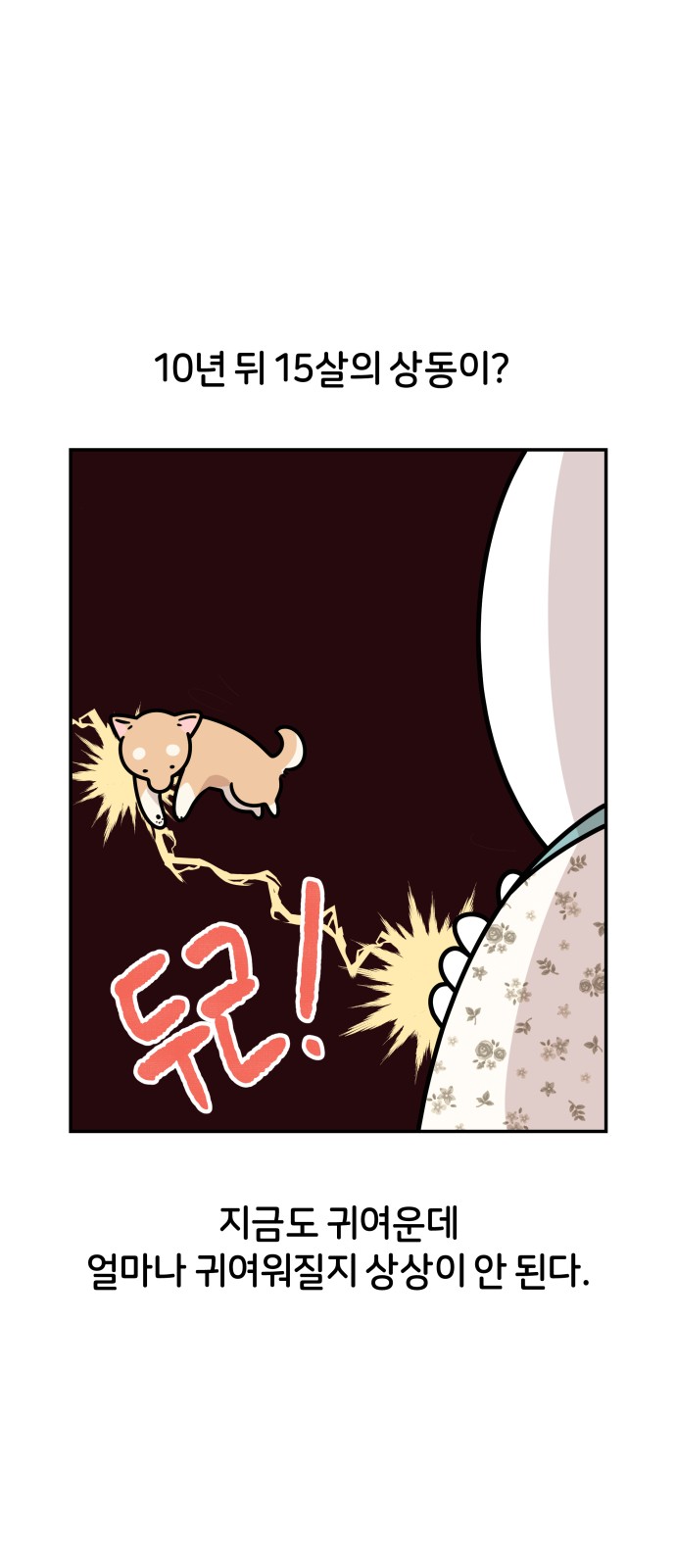 17 페이지