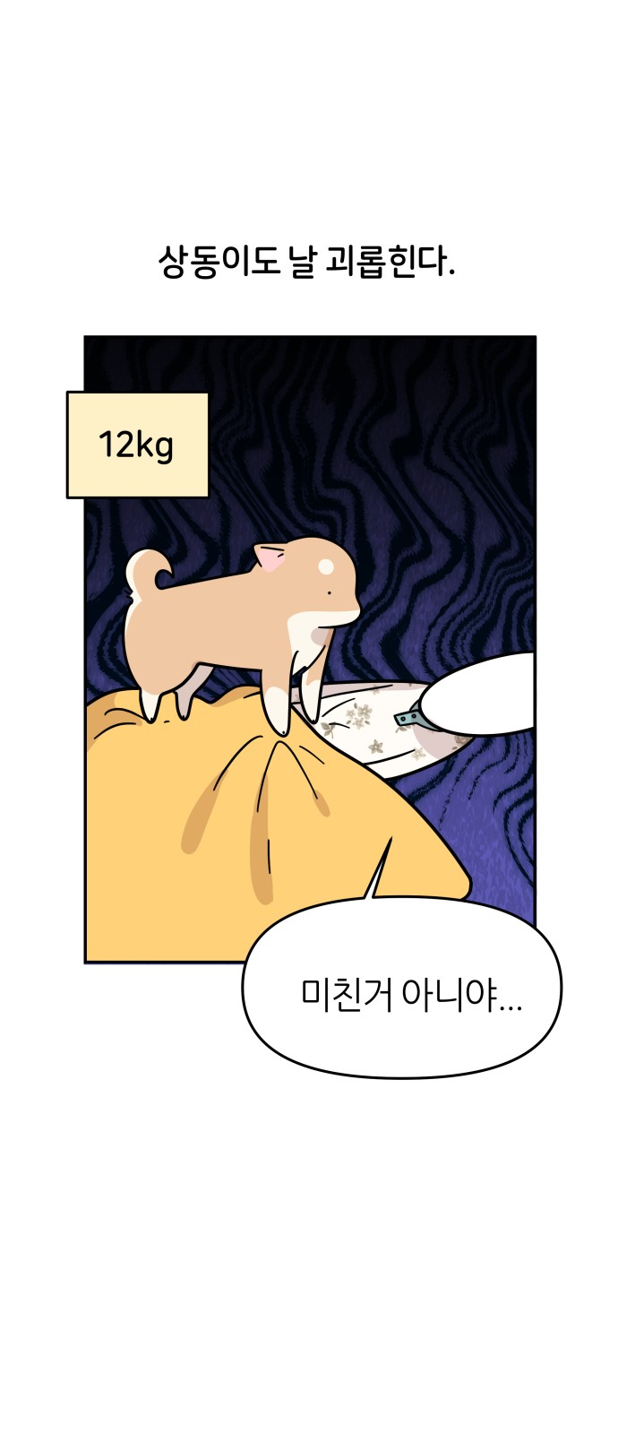 25 페이지