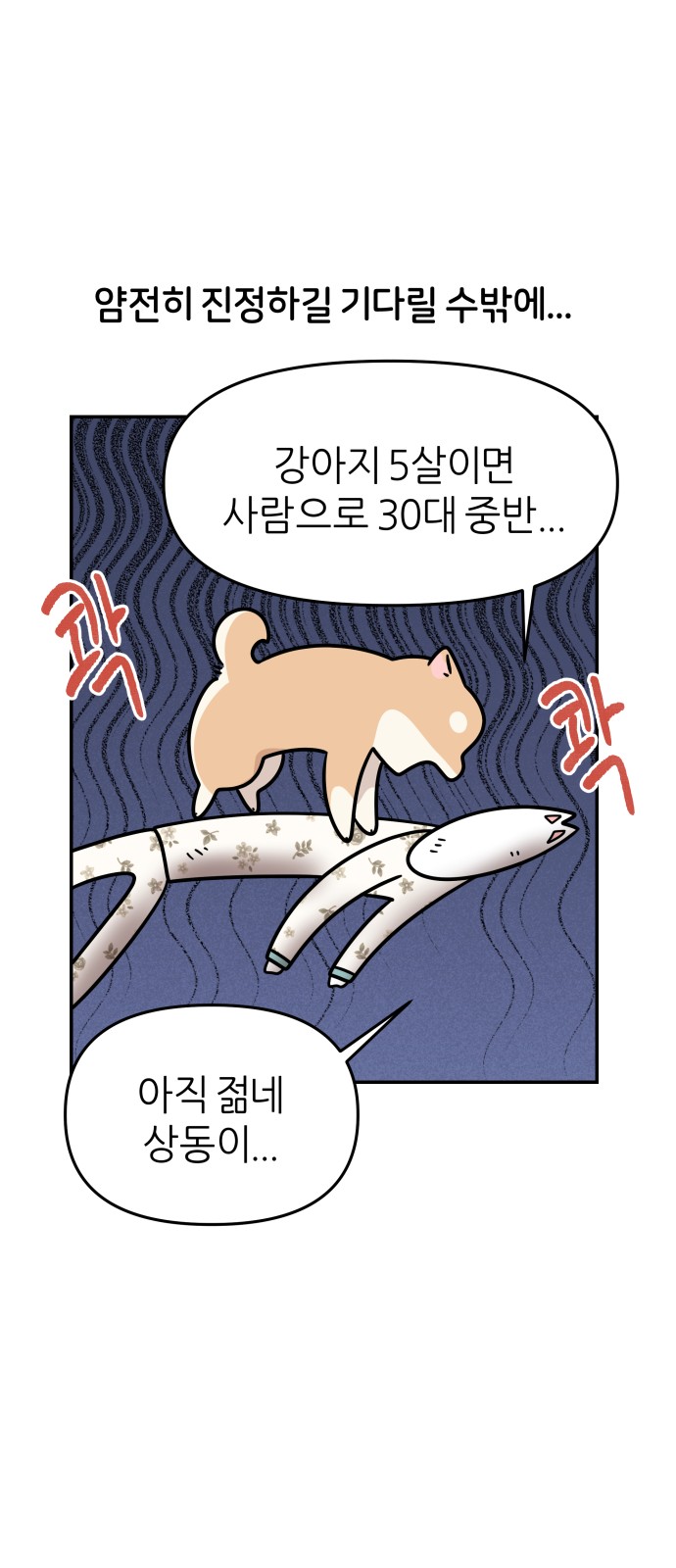 32 페이지