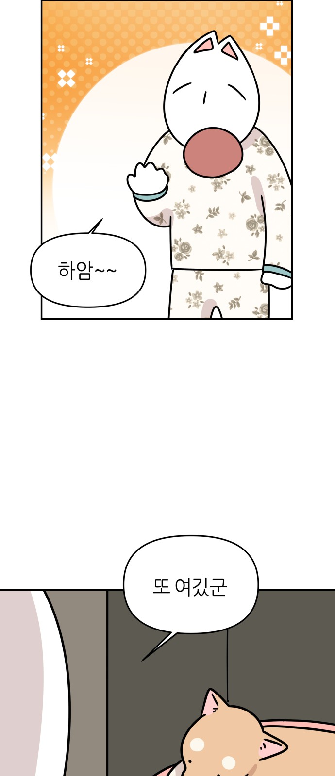 19 페이지
