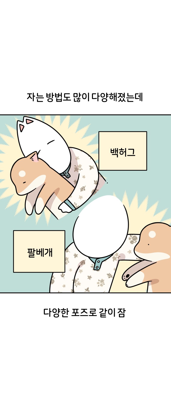 27 페이지