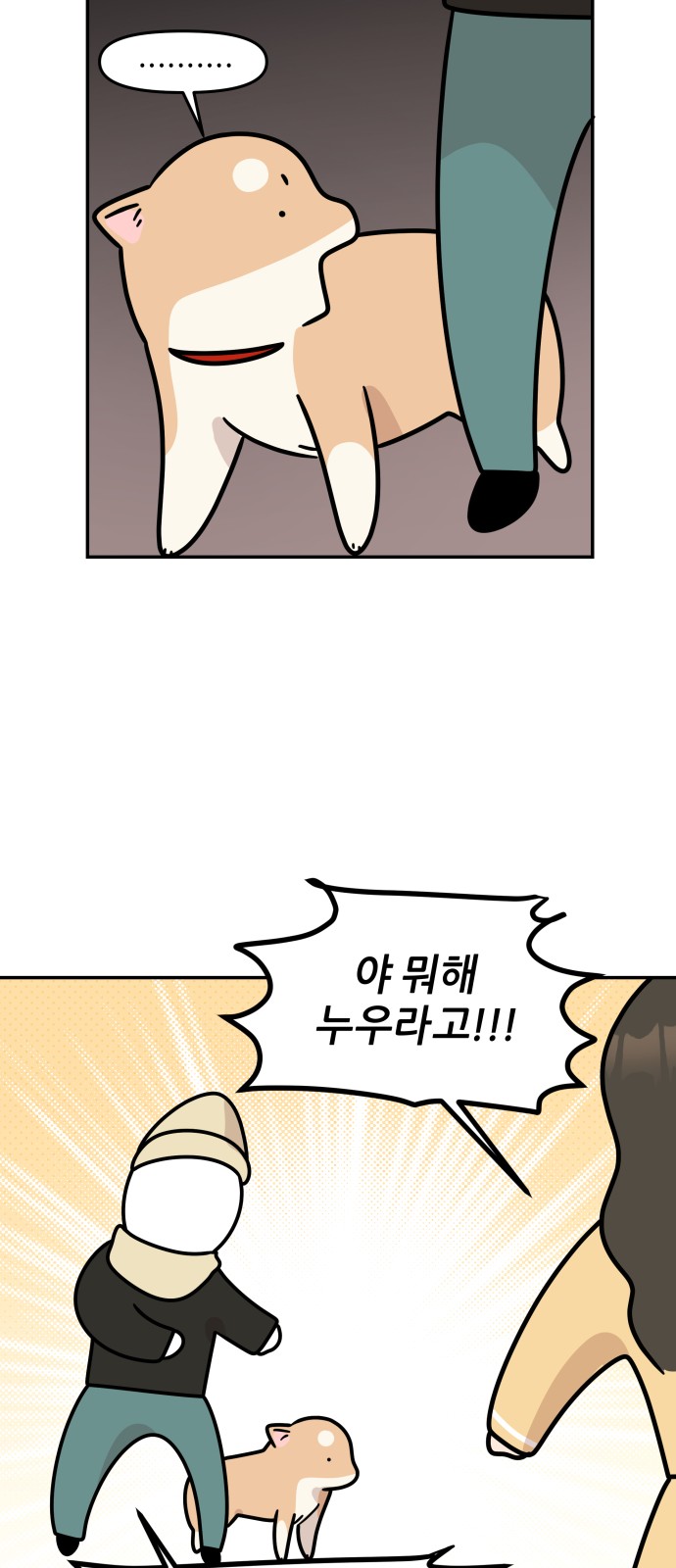 12 페이지