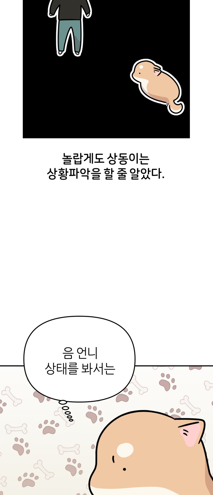 17 페이지