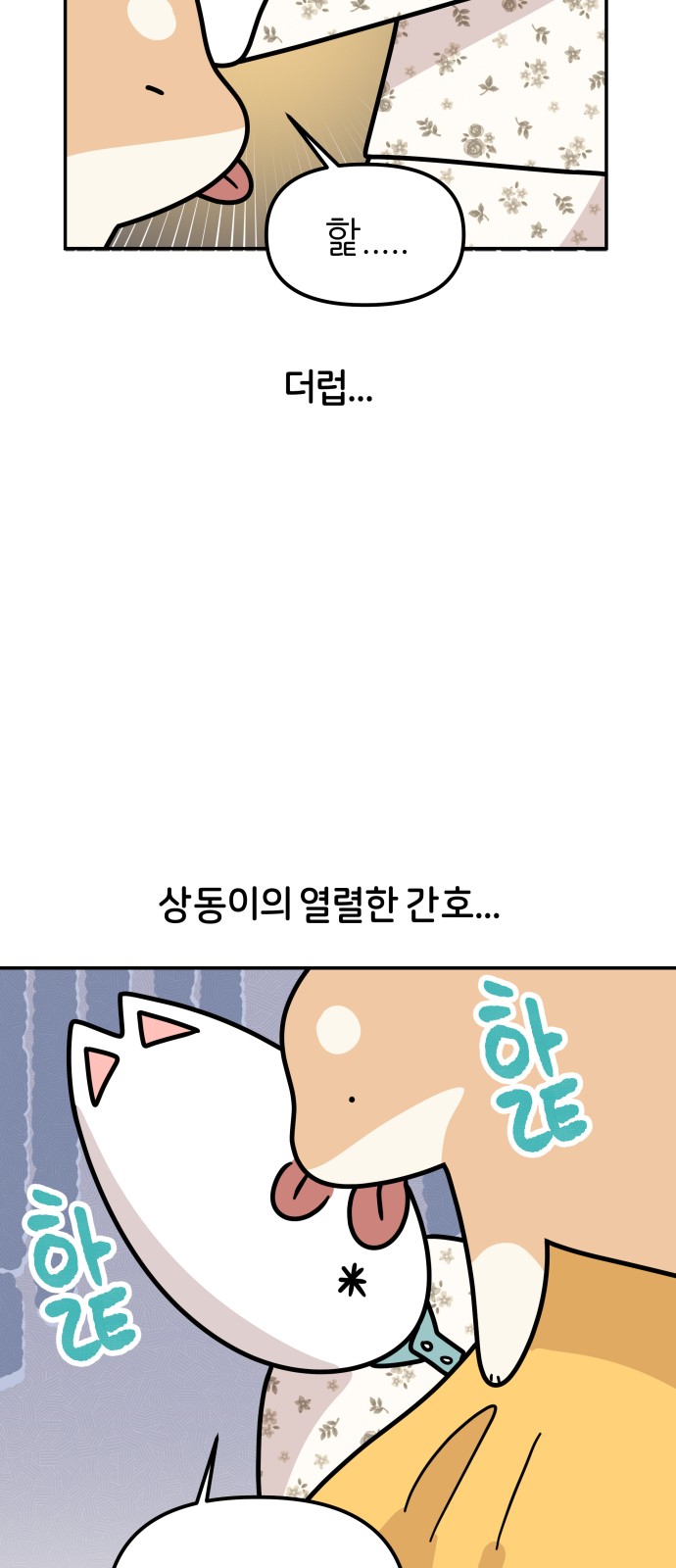 24 페이지
