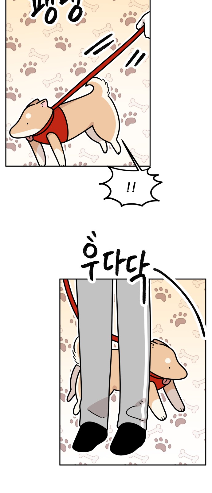 38 페이지