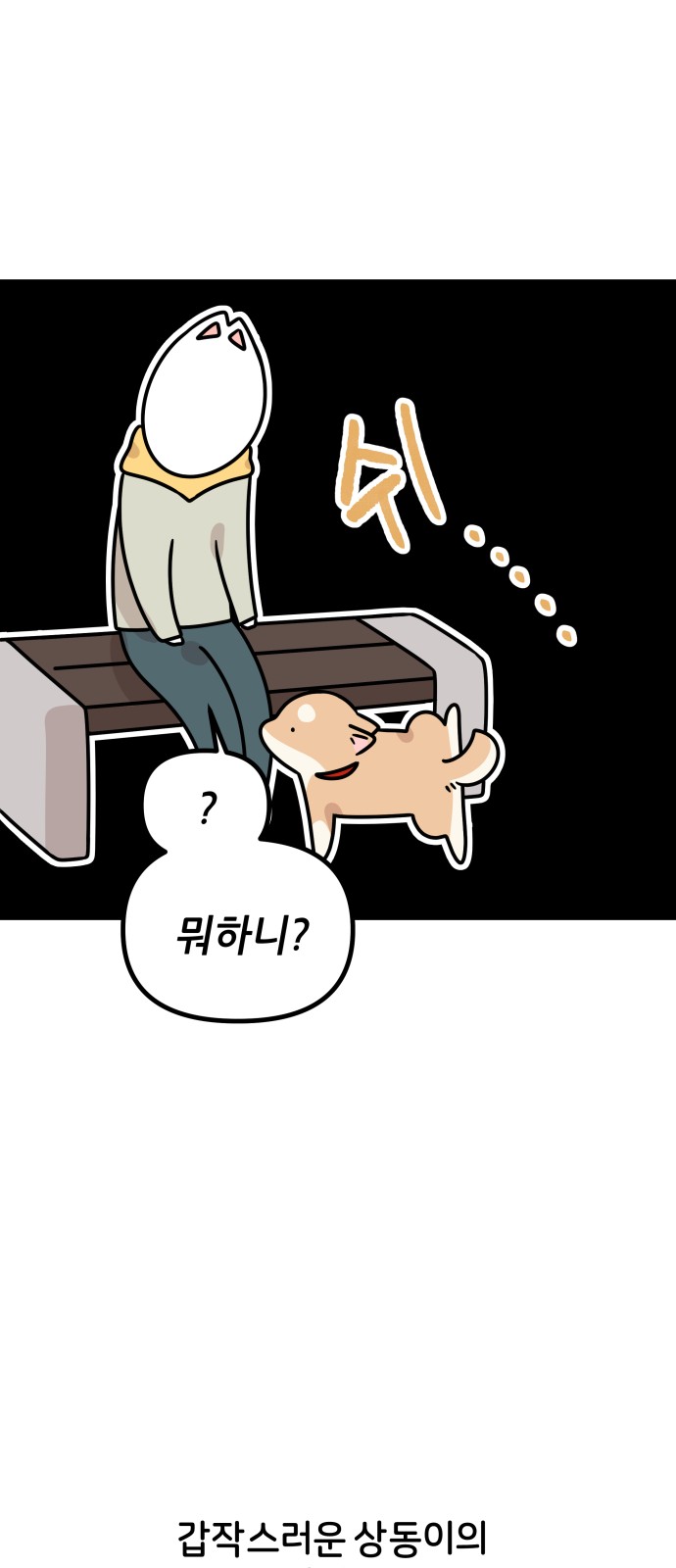 11 페이지