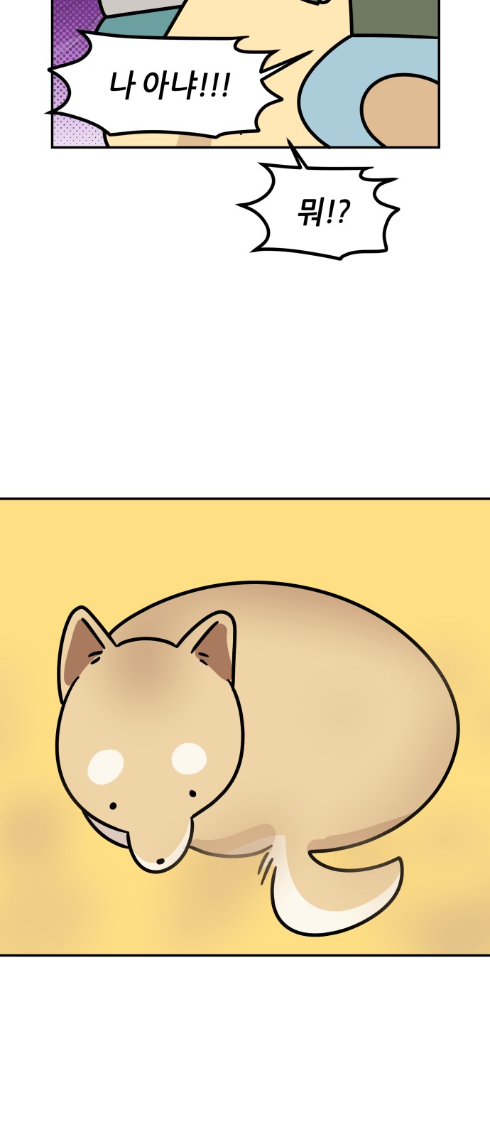 29 페이지