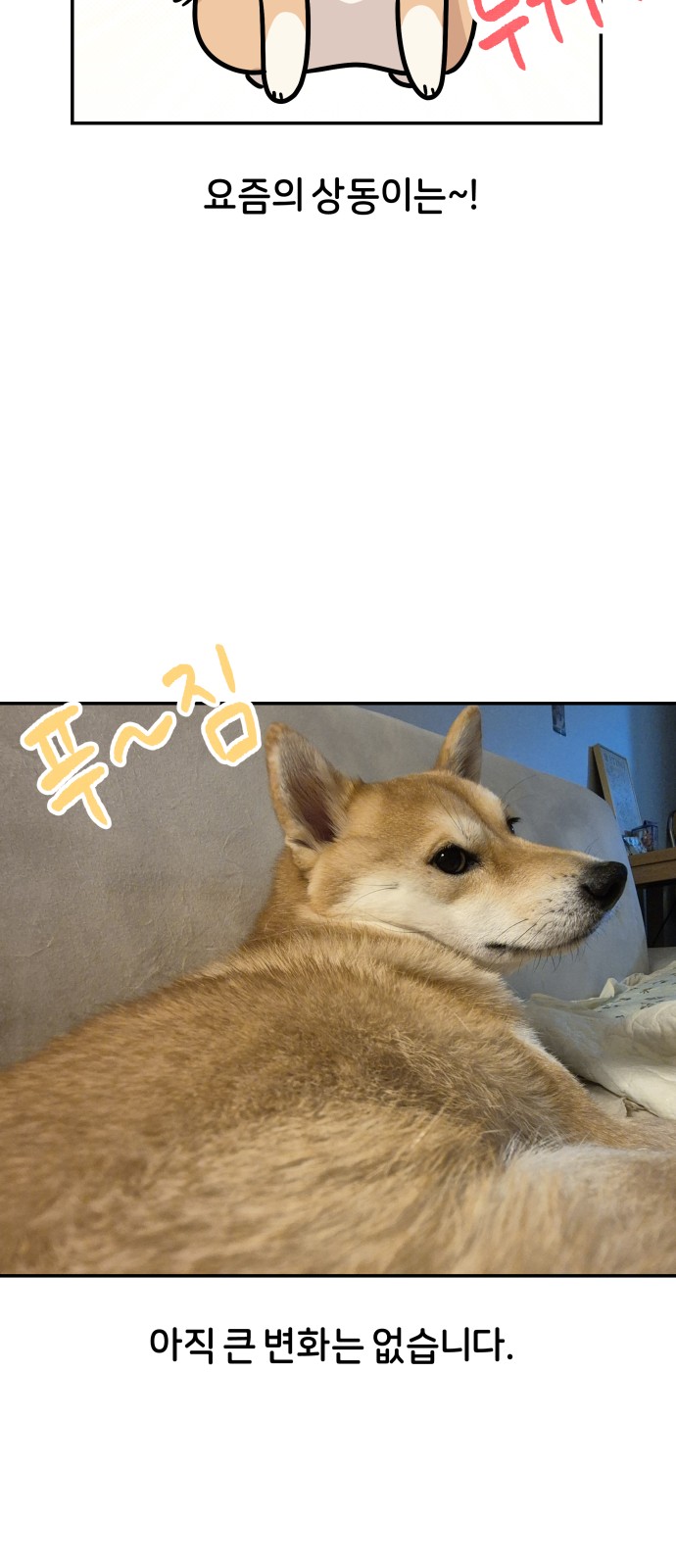 32 페이지
