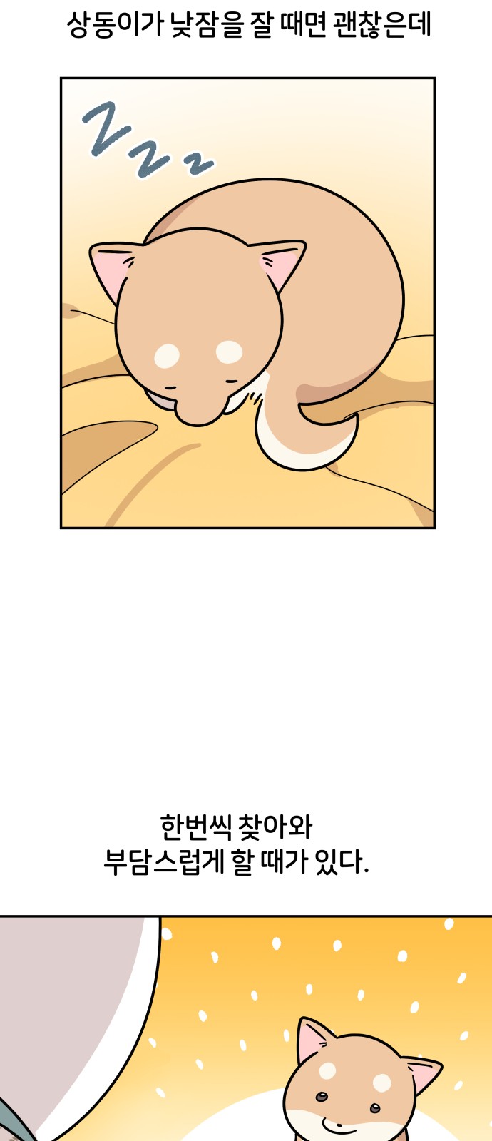 11 페이지