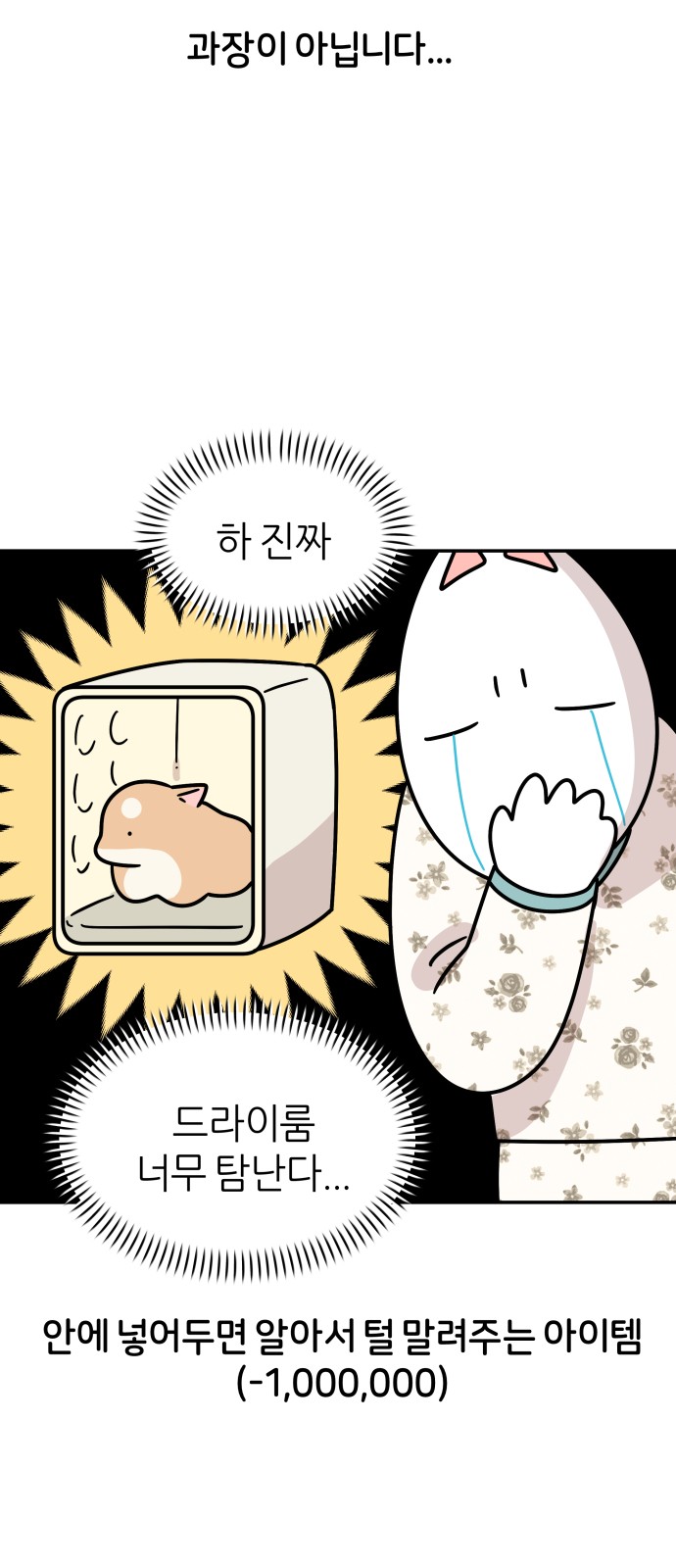 17 페이지