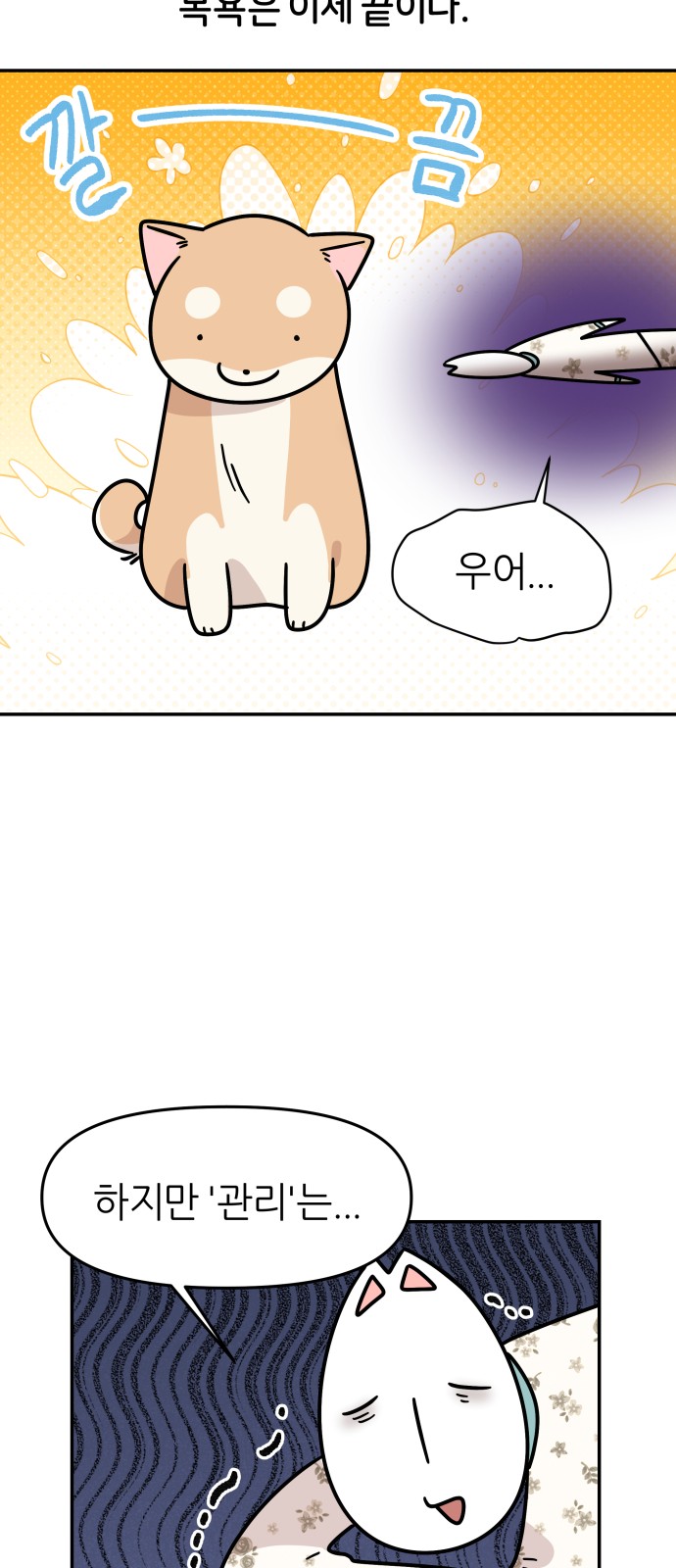 19 페이지