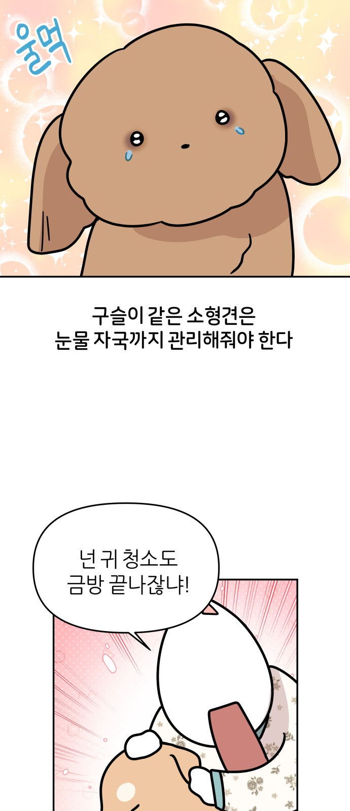 22 페이지