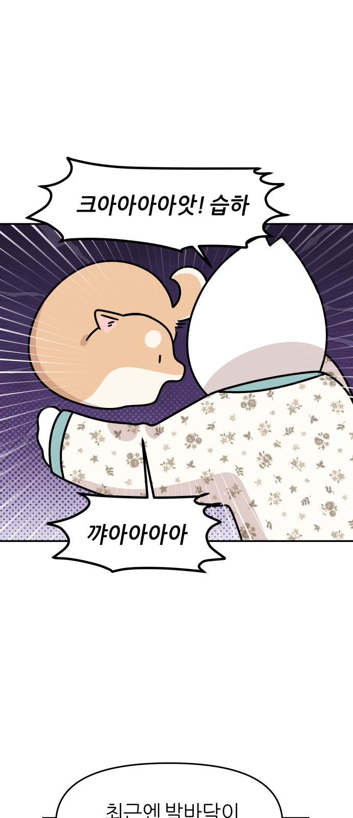 30 페이지