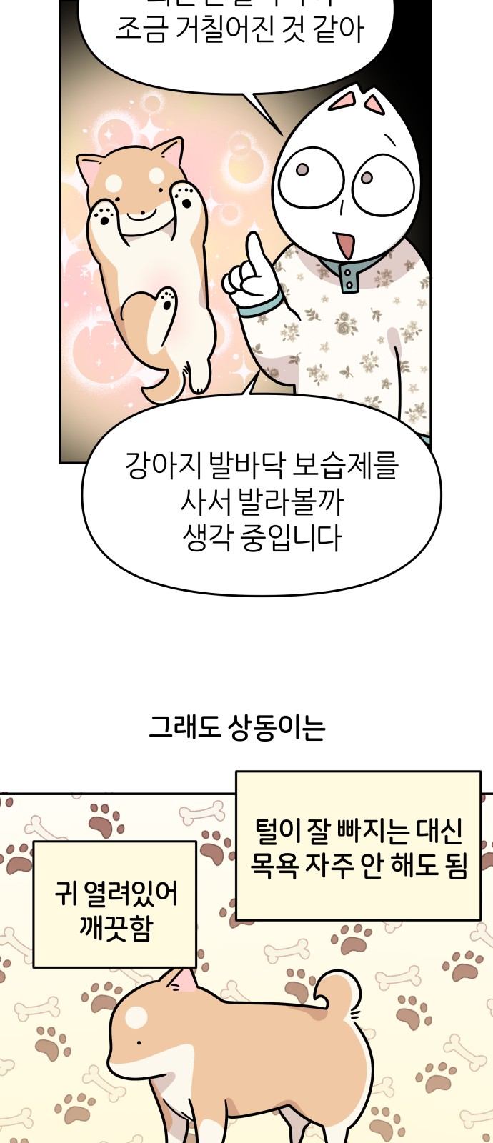 31 페이지