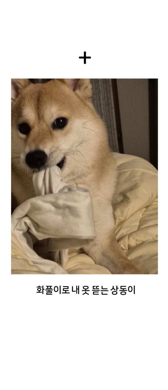 34 페이지