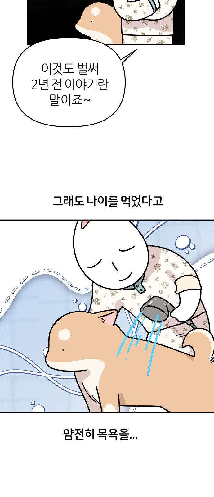 5 페이지