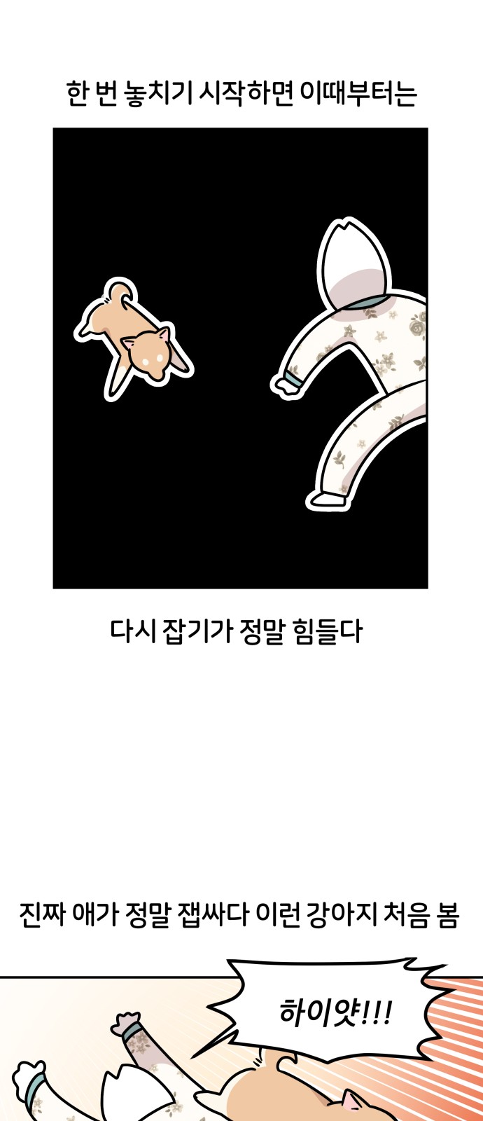 12 페이지