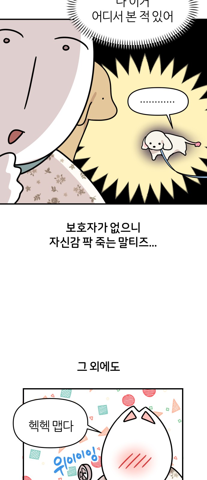 15 페이지