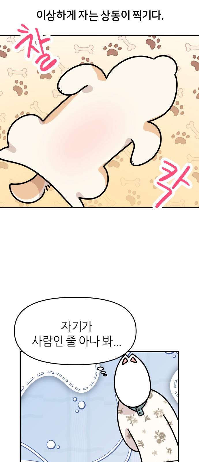 20 페이지