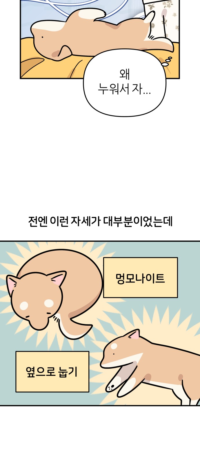 21 페이지