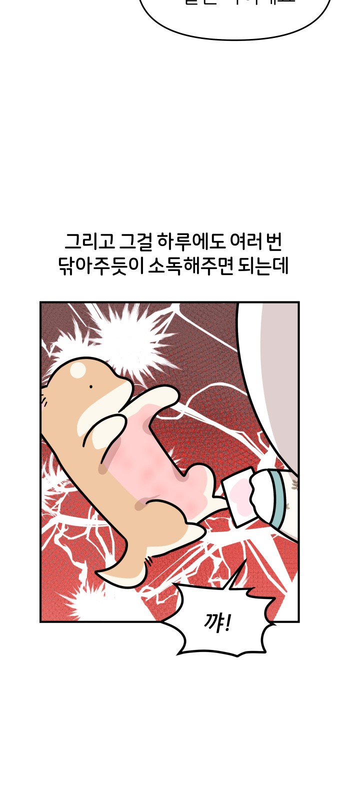 15 페이지