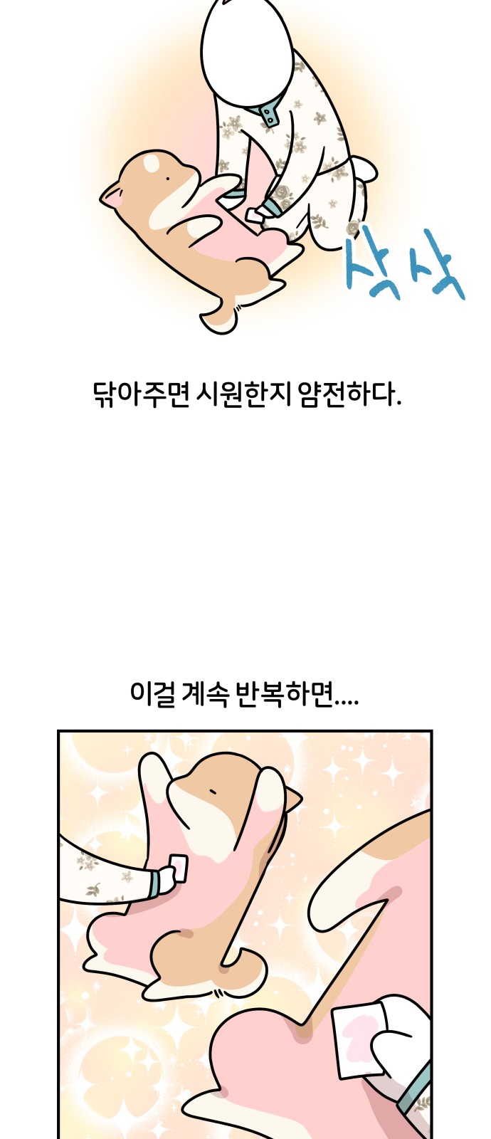 17 페이지