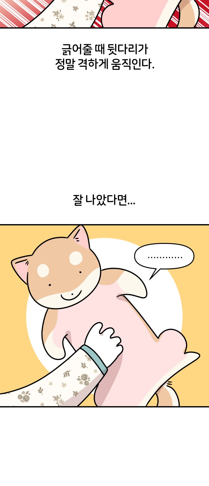 21 페이지