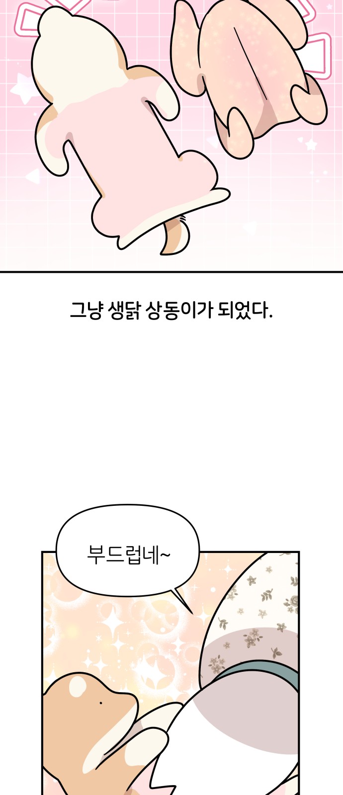 23 페이지