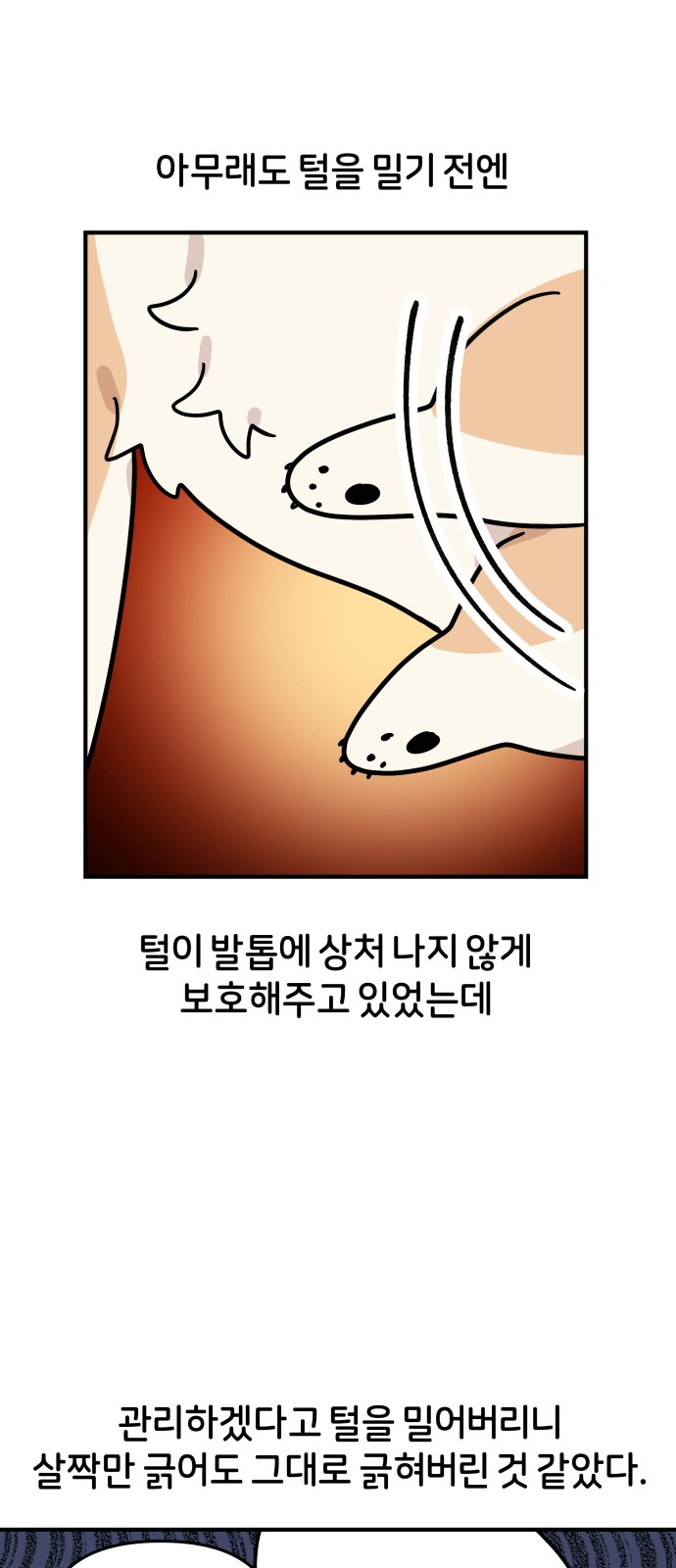 28 페이지