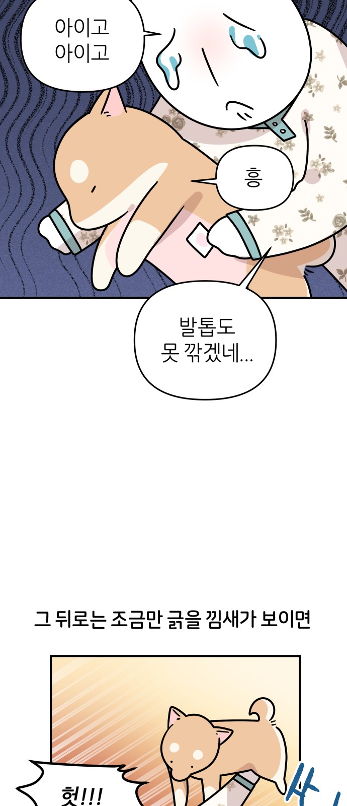 29 페이지