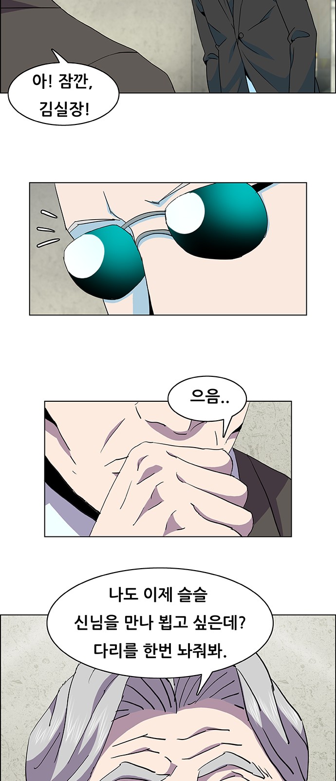 46 페이지