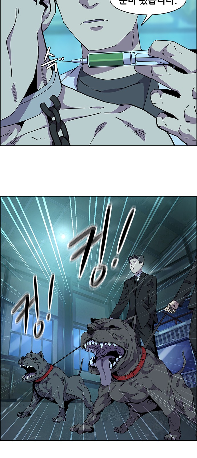 33 페이지
